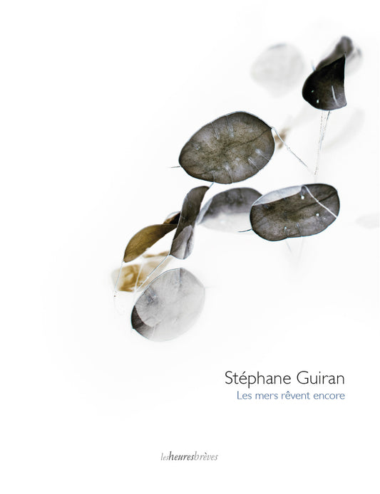 Les mers rêvent encore (catalogue)